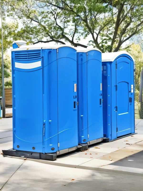 WhatsApp Image 2025-02-15 at 2.46.15 PM (3)